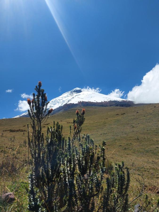 Pensión El