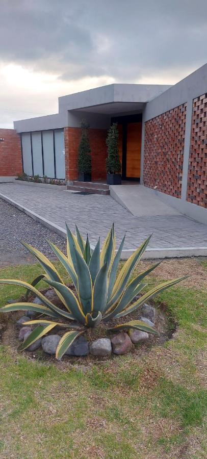 El * Chasqui